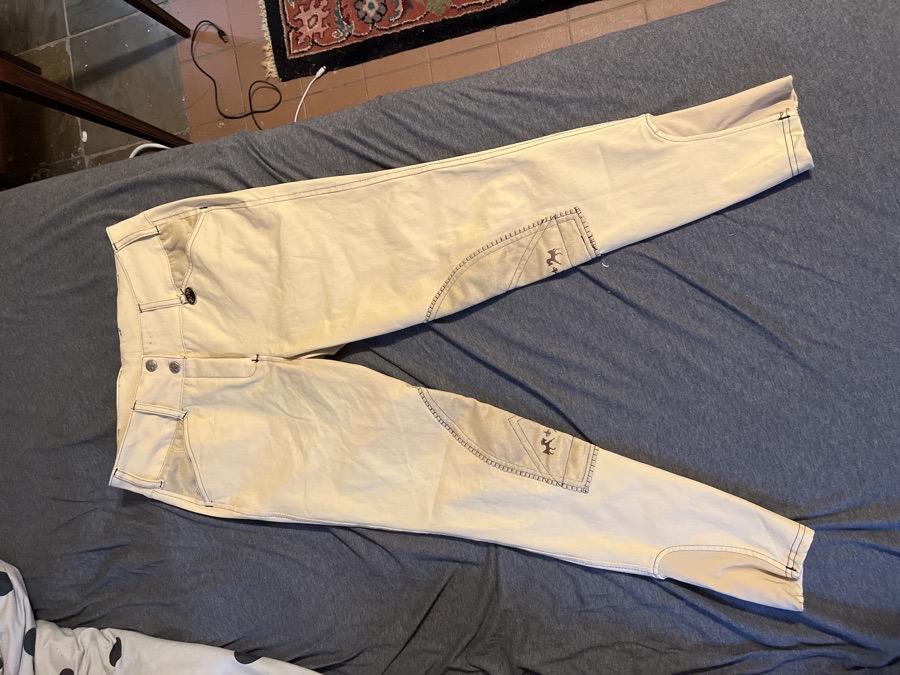 EQUINE COUTURE Riding Pants - Breeches