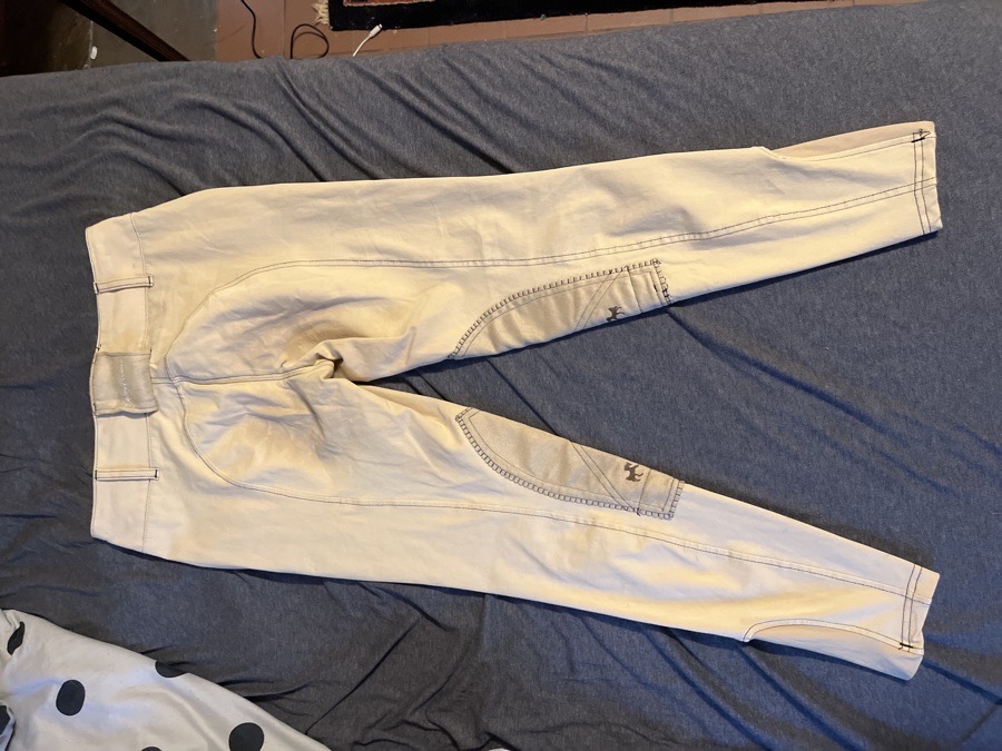 EQUINE COUTURE Riding Pants - Breeches