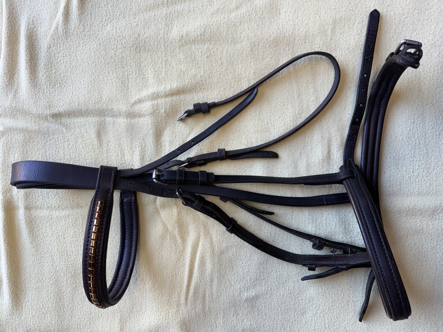 full sized clincher bridle