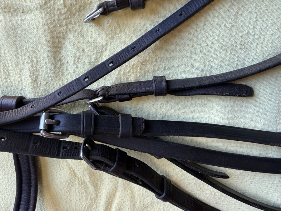 full sized clincher bridle