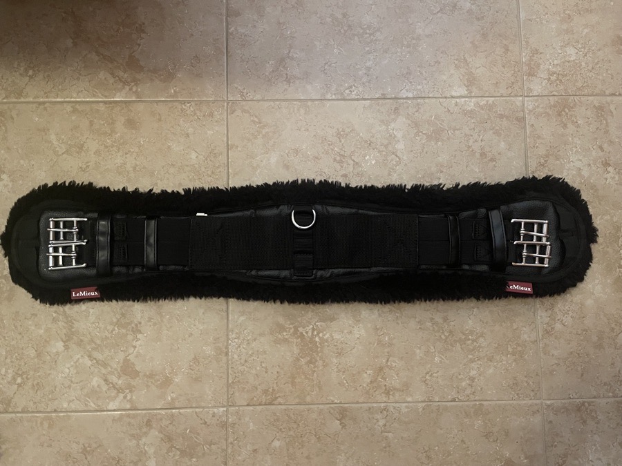 Lemieux Dressage Girth