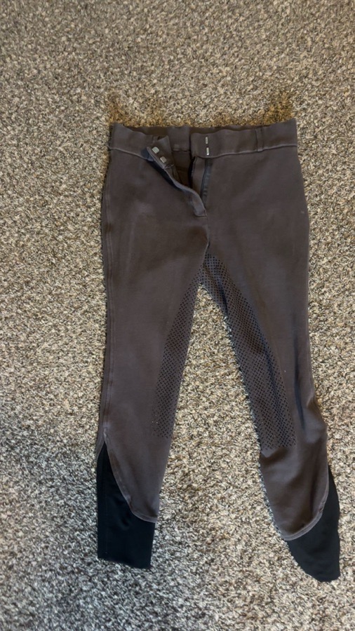 HARRY'S HORSE Riding Pants - Breeches