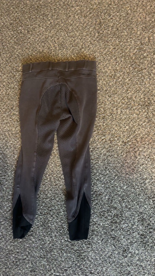 HARRY'S HORSE Riding Pants - Breeches