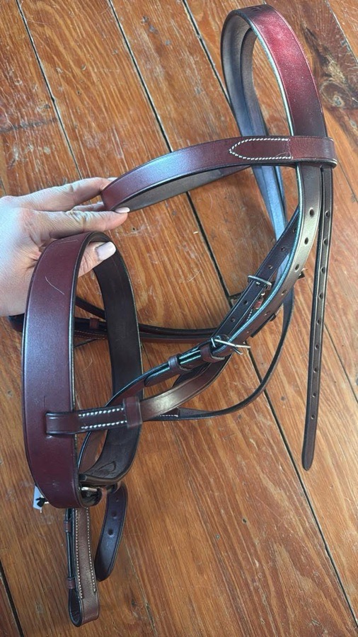 Draft sized hunt bridle- NWT