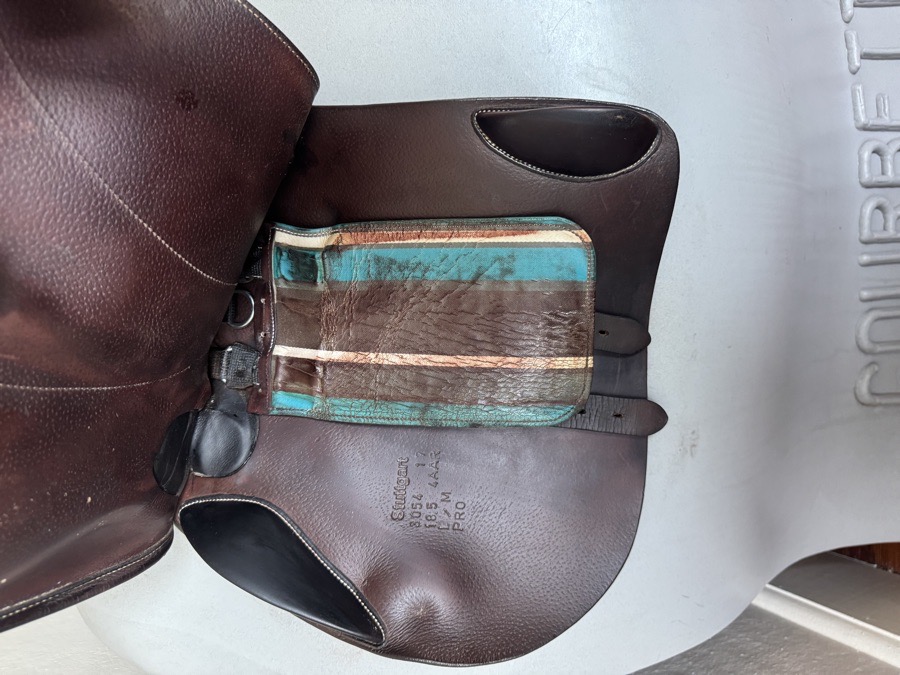 18.5” Voltaire Stuttgart PRO Saddle - 2017 - 4AAR - full Buffalo