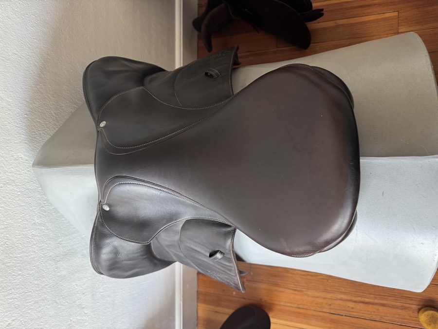 18.5” Voltaire Stuttgart PRO Saddle - 2017 - 4AAR - full Buffalo