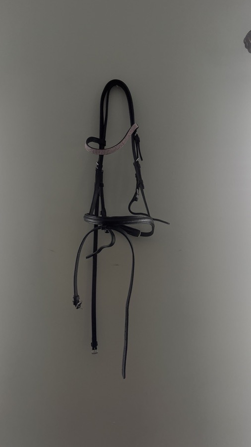Dressage Pony bridle
