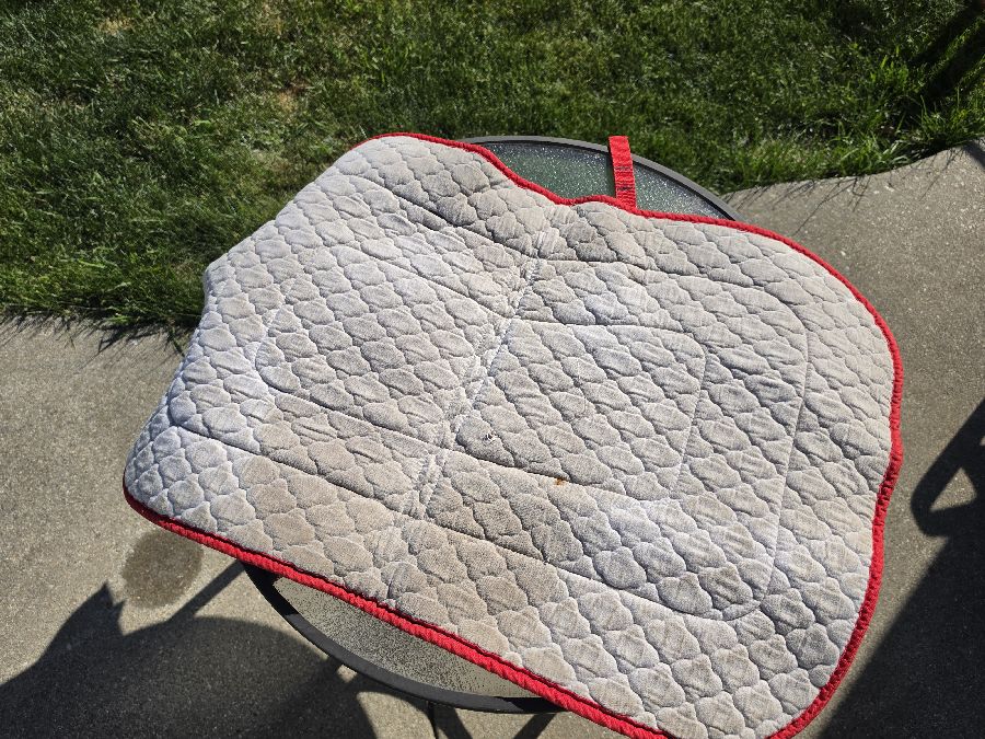 Used Disney Pony Pad