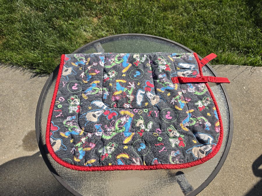 Used Disney Pony Pad