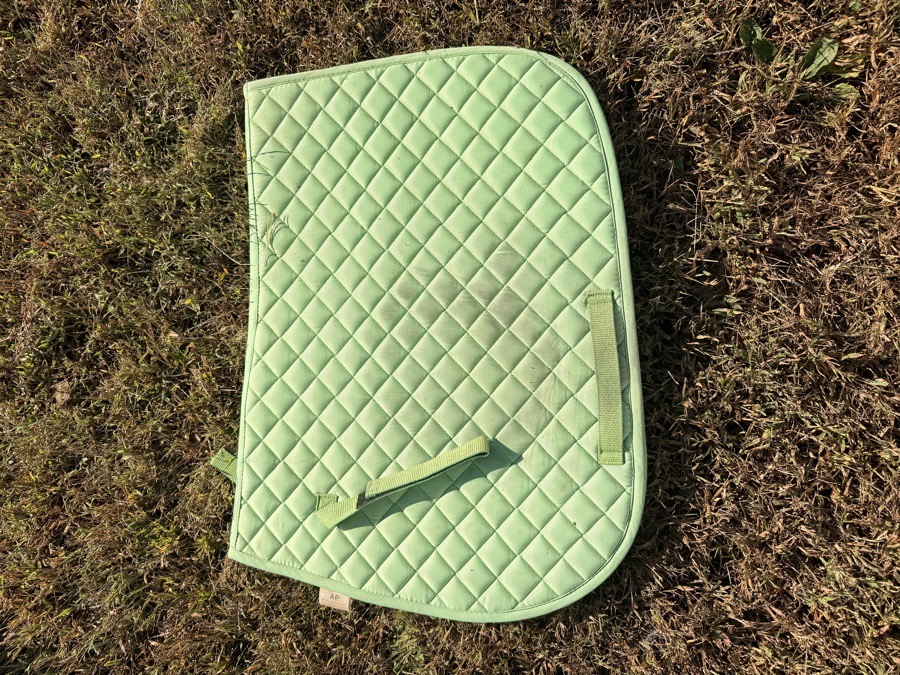 Dover's AP green saddle pad