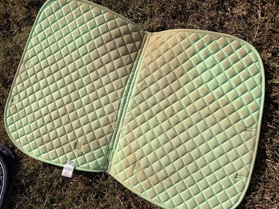 Dover's AP green saddle pad