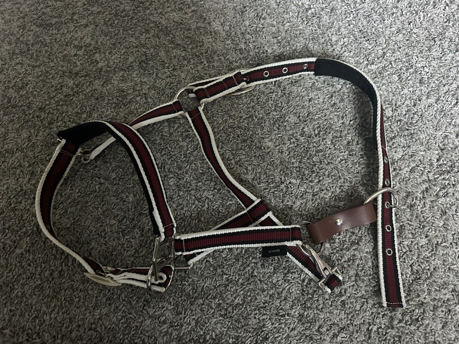 DOVER SADDLERY Halter/Rope Cob