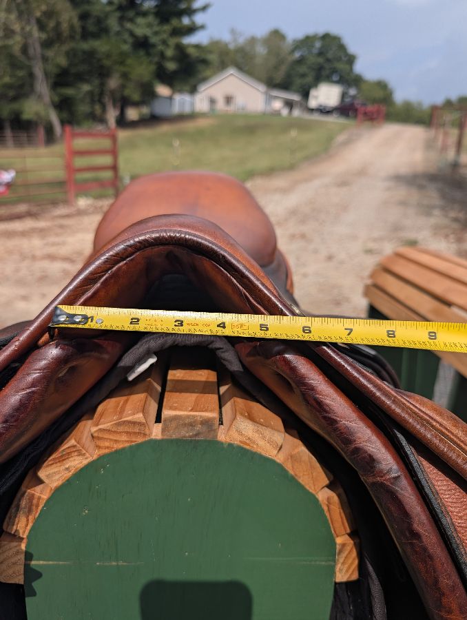 RICHARD CASTELOW | 17" | 5" Tree Size