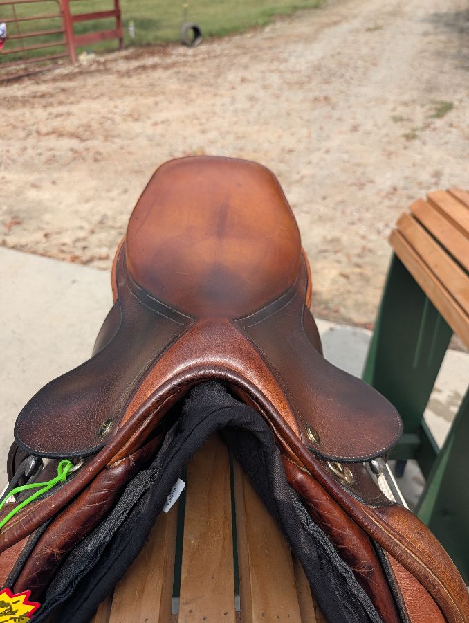RICHARD CASTELOW | 17" | 5" Tree Size