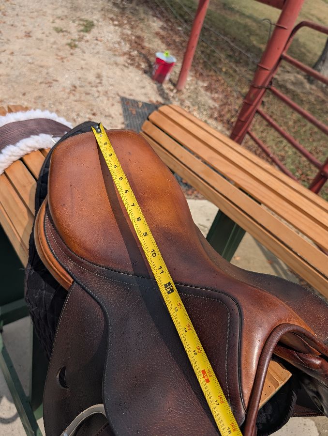 RICHARD CASTELOW | 17" | 5" Tree Size