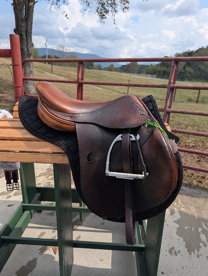 RICHARD CASTELOW | 17" | 5" Tree Size