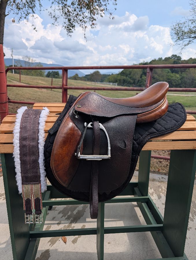RICHARD CASTELOW | 17" | 5" Tree Size