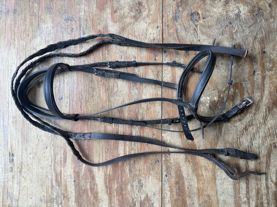 WINTEC Bridle Horse
