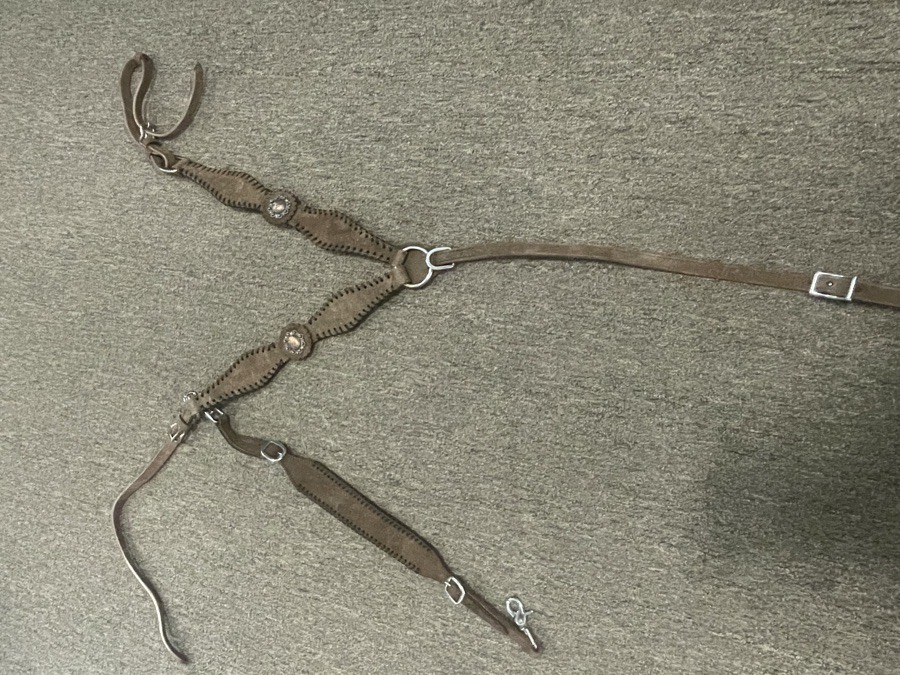 Breast collar with wither strap