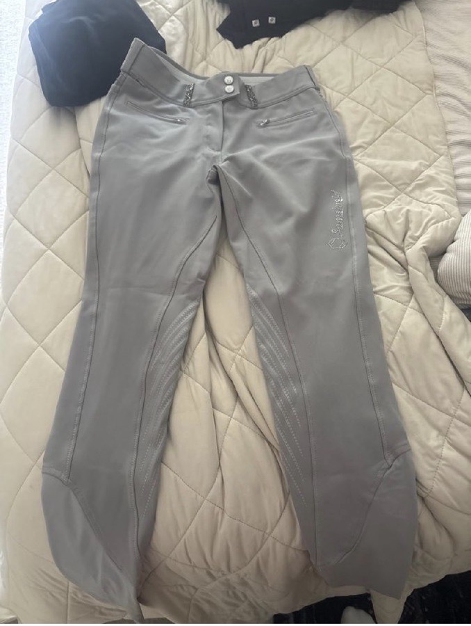 SAMSHIELD Riding Pants - Breeches