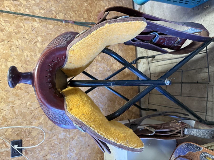 Bar J | 16" | 7" Tree Size | 2025