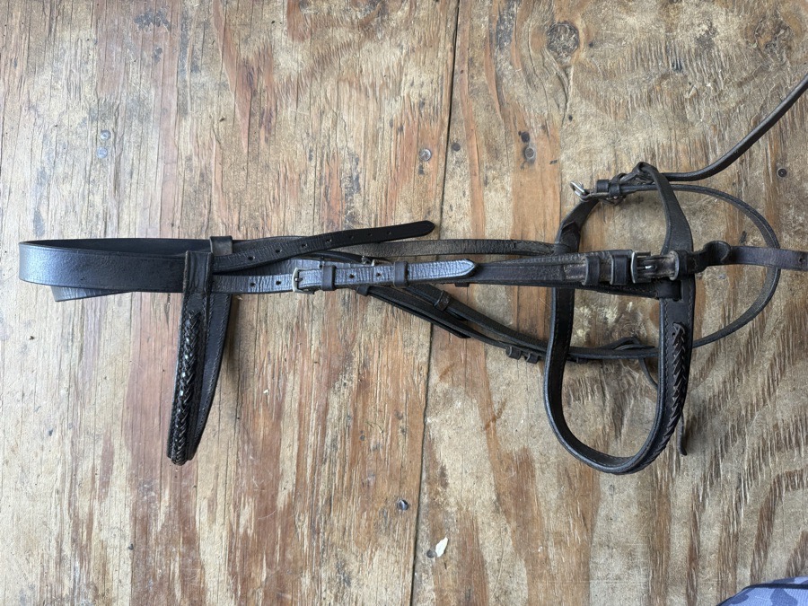 full sized weave bridle