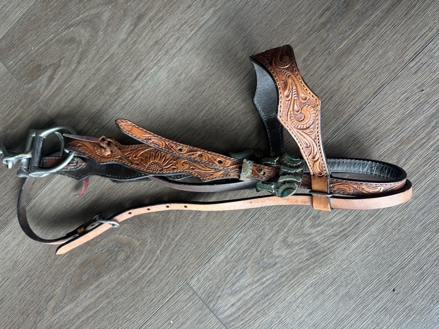 CIRCLE Y Bridle Horse