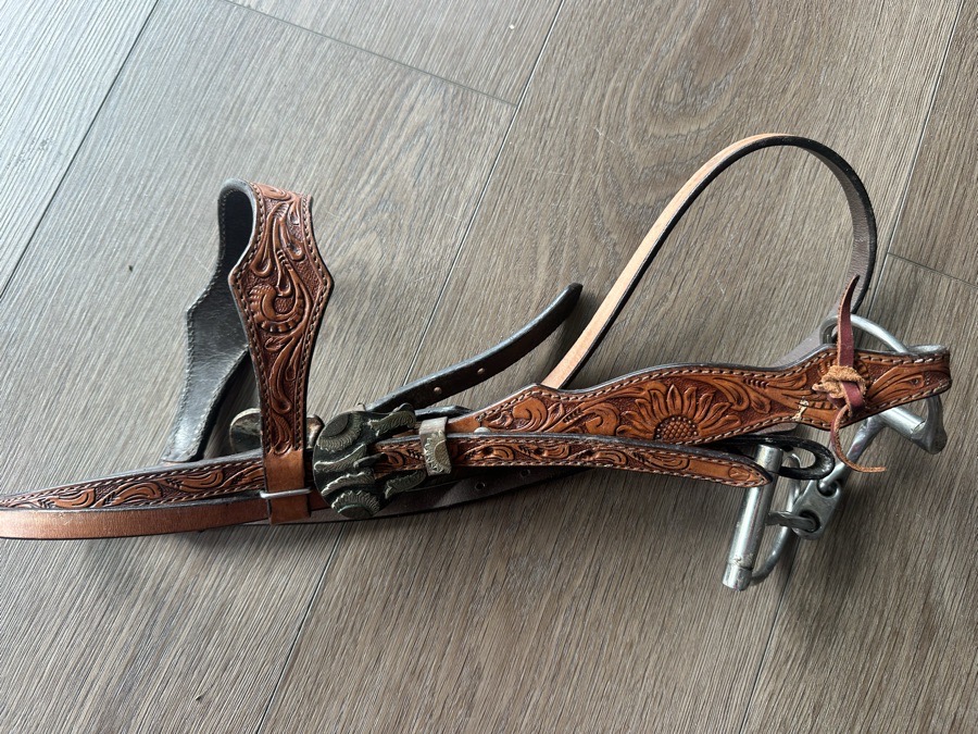 CIRCLE Y Bridle Horse