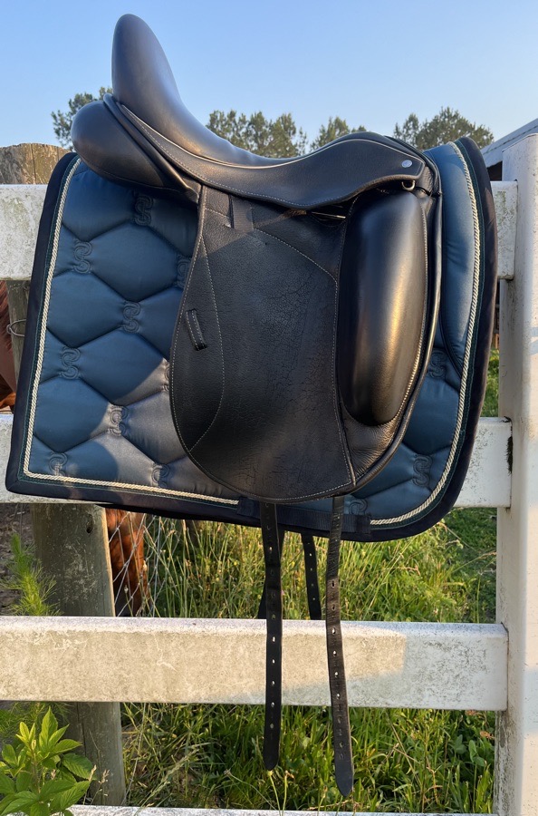 2017 Custom Saddlery Icon Star