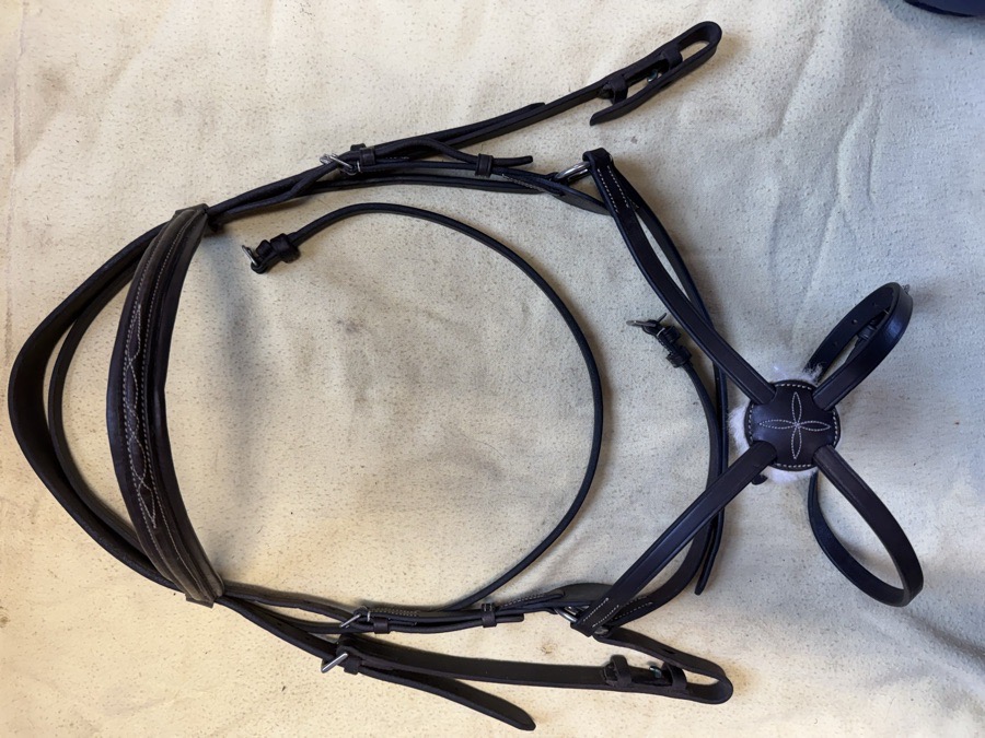 Oversize bridle