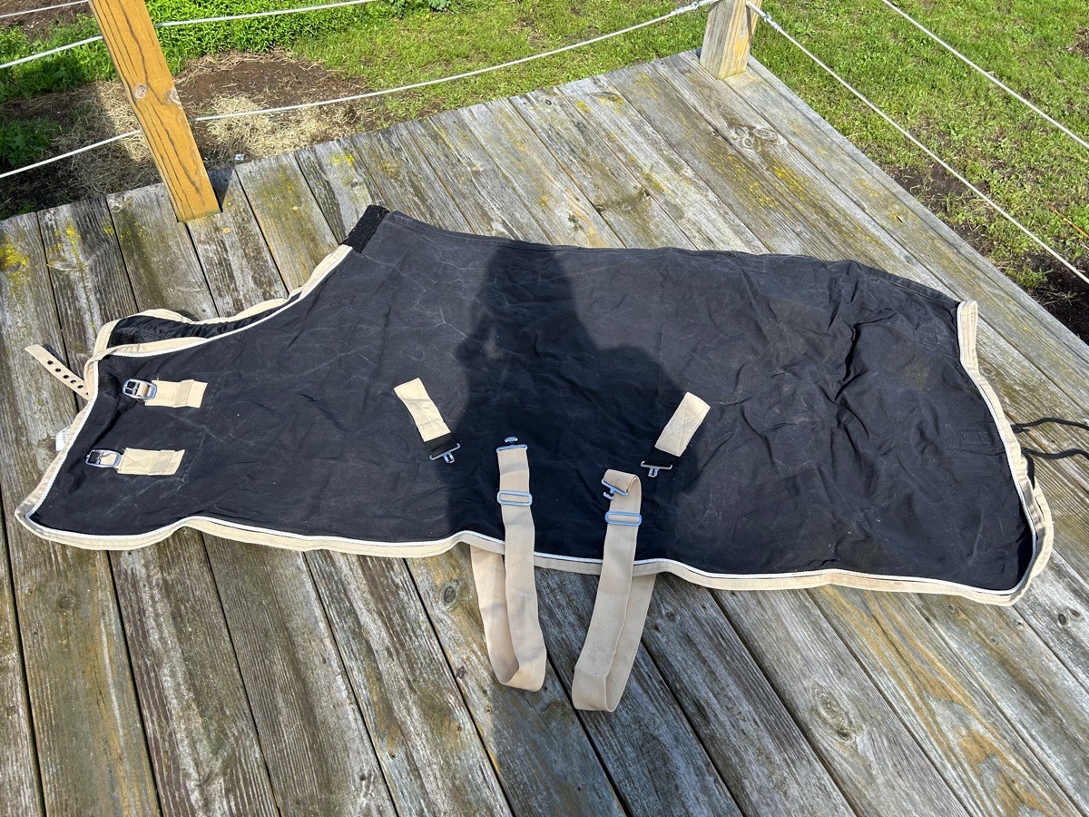 Dover Stable Sheet 72”