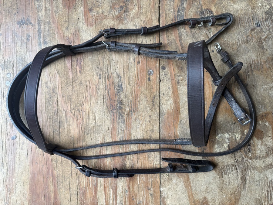 cob sized hunt bridle