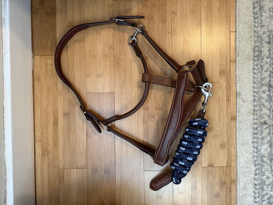 New Antares Leather Halter and Lead Rope
