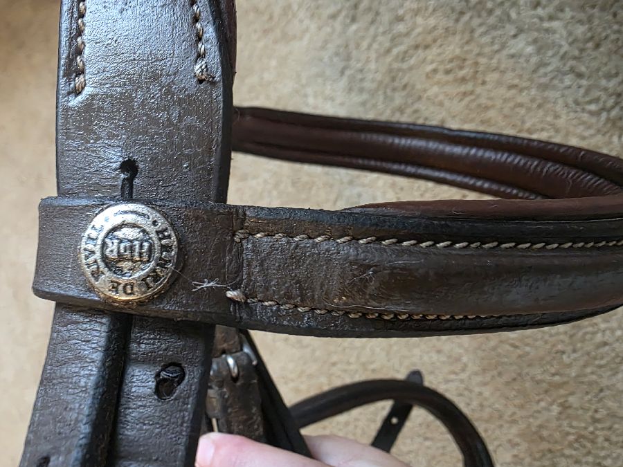 HDR - HENRI DE RIVEL Bridle Horse
