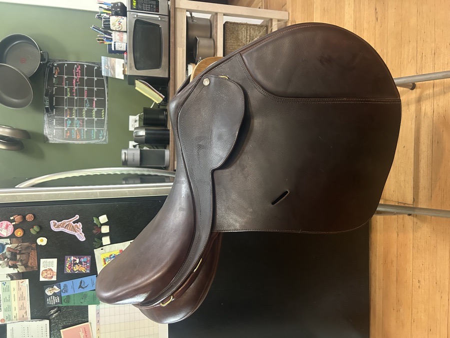 17.5” Collegiate Convertible Saddle