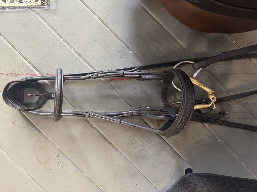 OVATION Bridle Horse (reins included)
