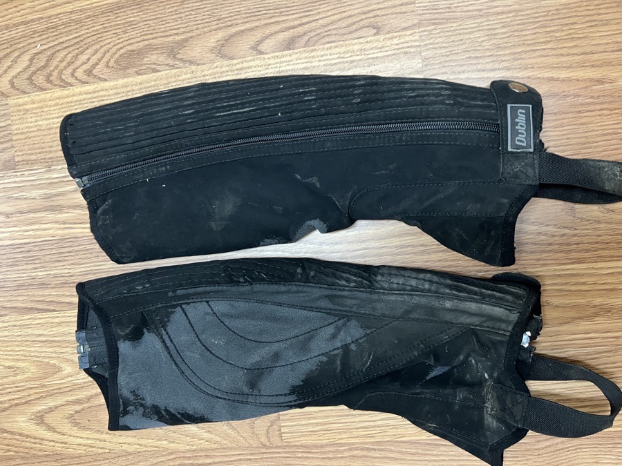 Dublin Suade Half Chaps (XS)