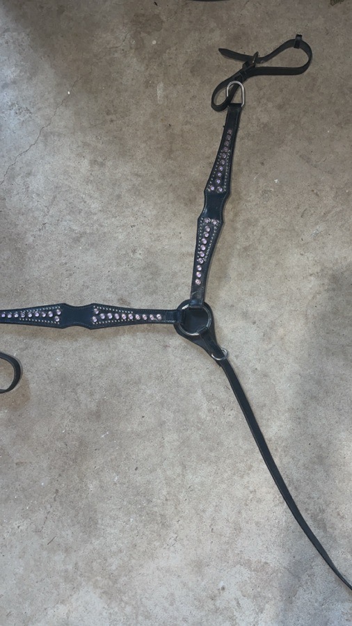 Pink western breast collar