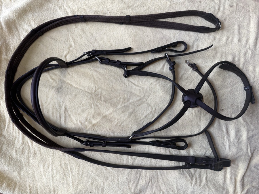 full sized figure 8 and reins