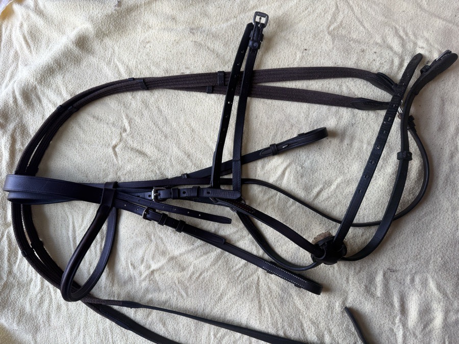full sized figure 8 and reins
