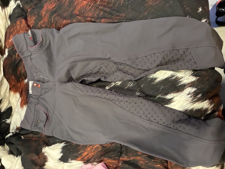 LEMIEUX Breeches 28” waist