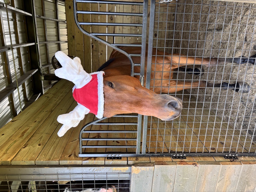 Full-Size Santa Reindeer Ear Bonnet