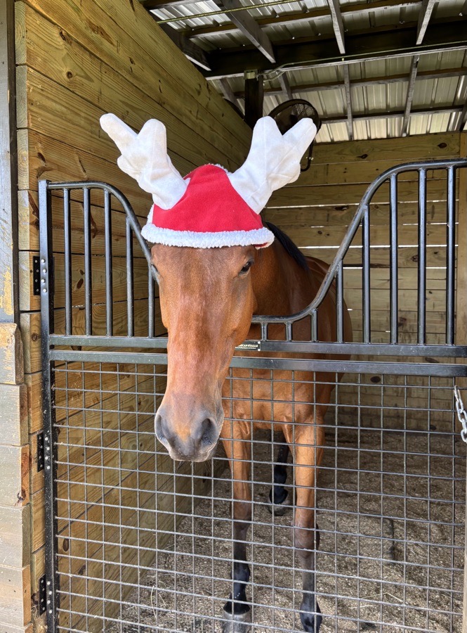 Full-Size Santa Reindeer Ear Bonnet