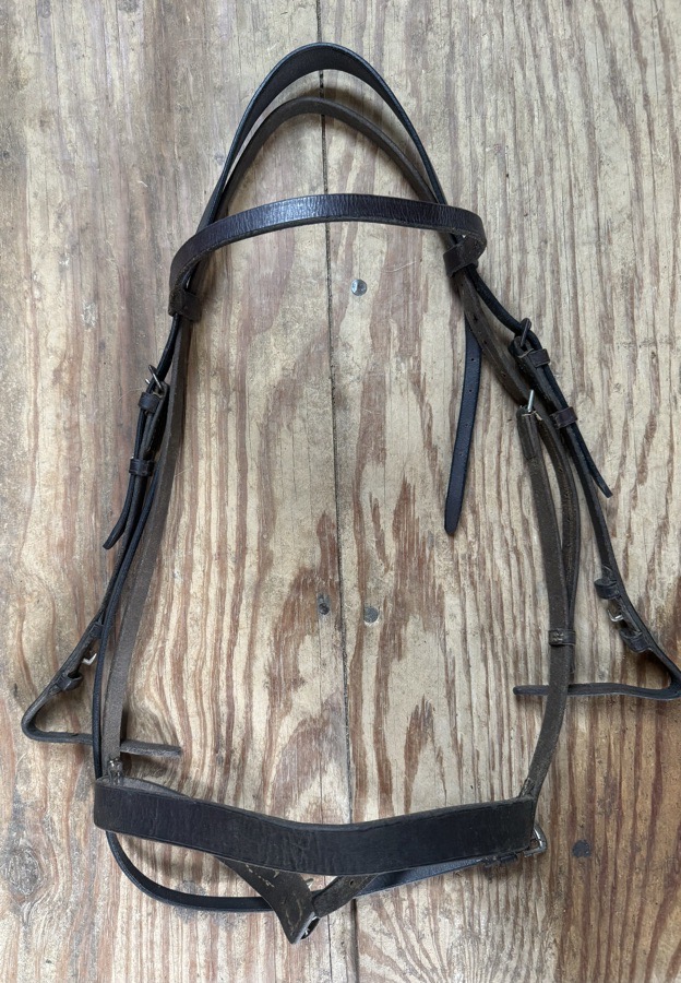 cob schooling bridle