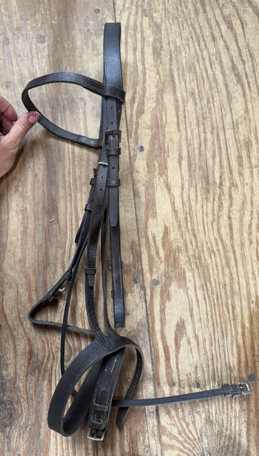 cob schooling bridle