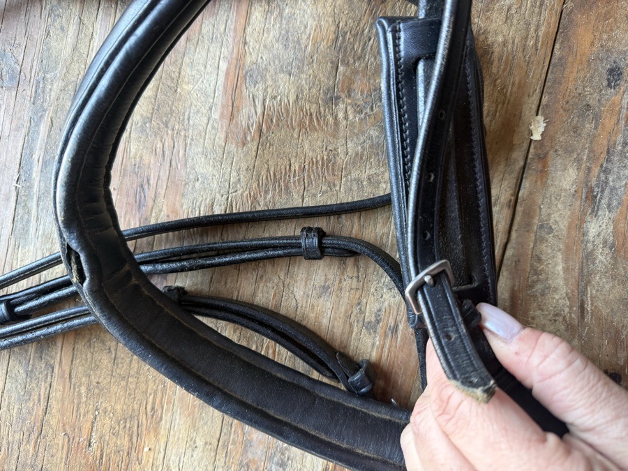 Padded OS black bridle
