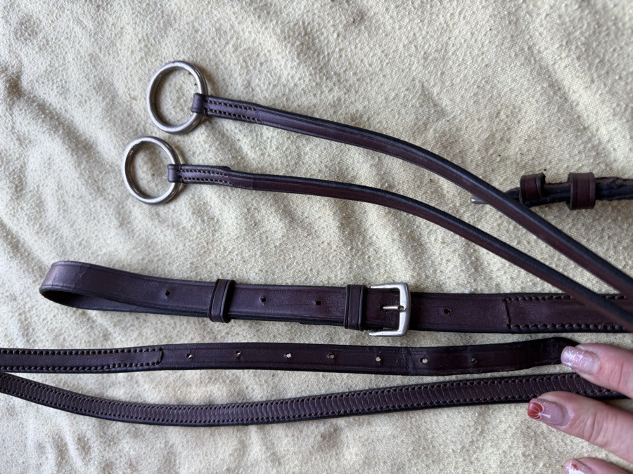 oakbark running martingale