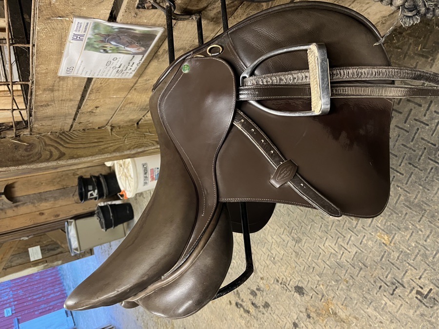 HDR Jump Saddle