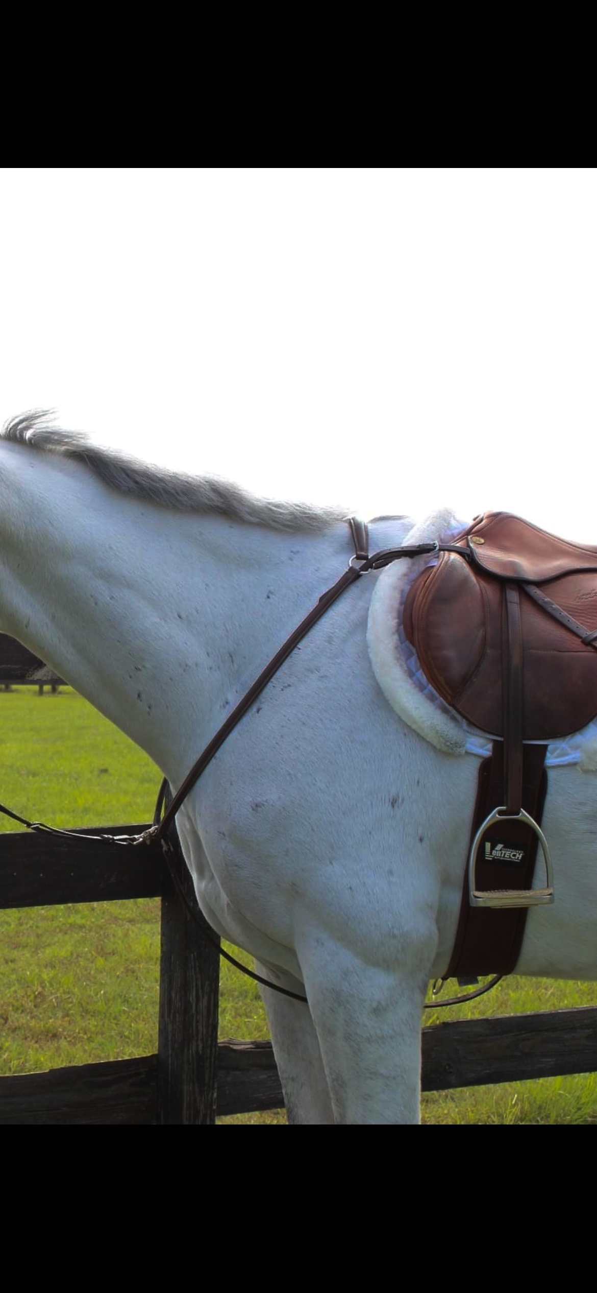 Ovation Elite 3-Point Raised Breastplate 