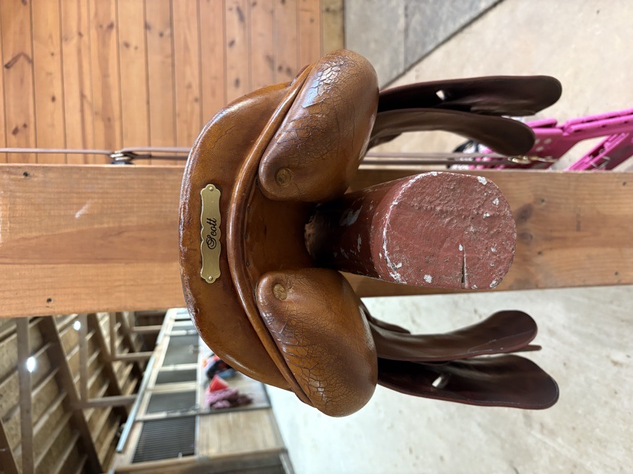 Childeric 16.5 Close Contact Saddle